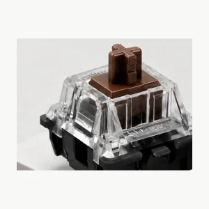 CHERRY MX2A Brown Switches