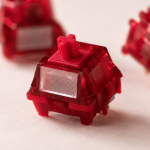 JKDK × HMX Blossoms Linear Switch