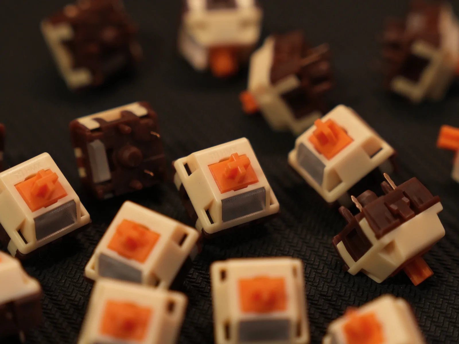 Minikeys × HMX Puppy Tactile Switch — what’s in the box