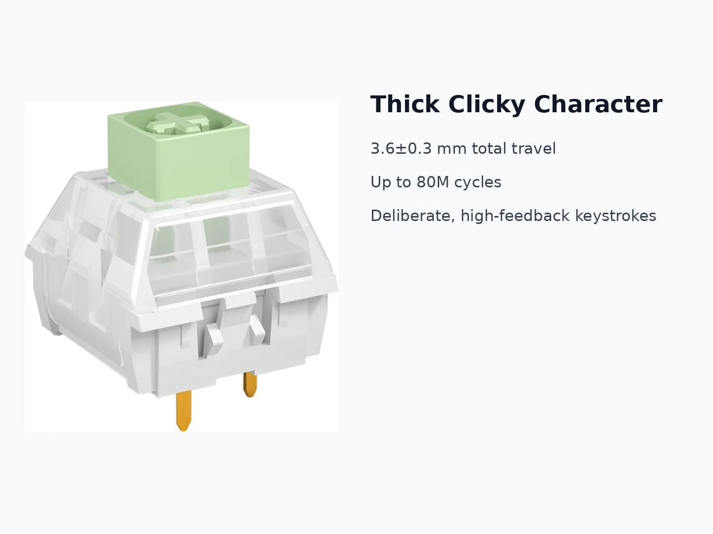 Kailh BOX Jade Switch thick clicky typing character