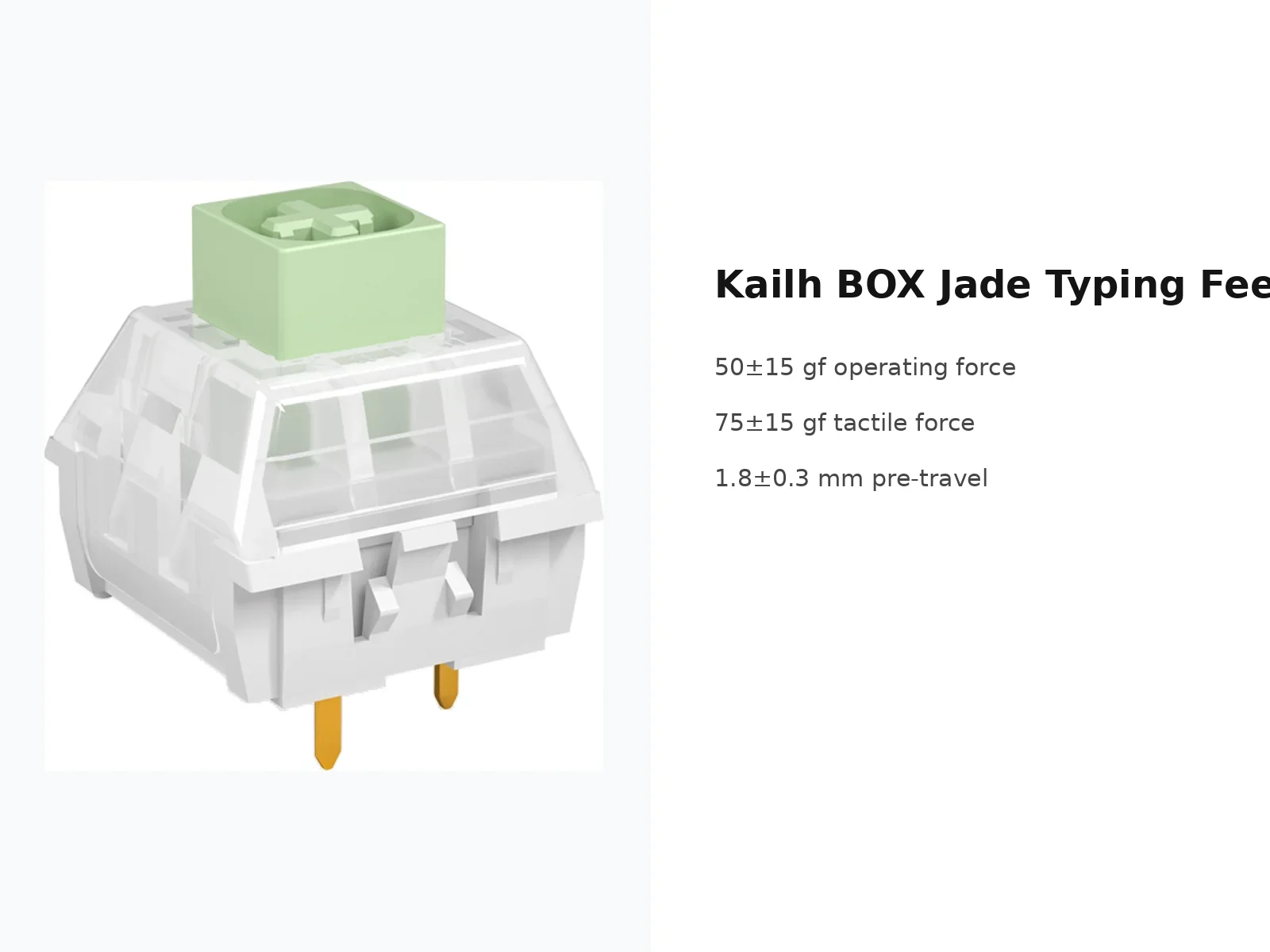 Kailh BOX Jade Switch — typing feel