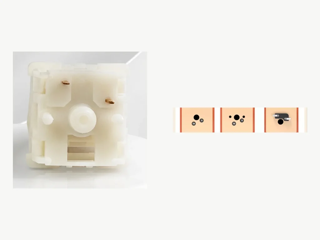 Xuhua Holy Panda 5-Pin Tactile Switch — Fit the five-pin footprint