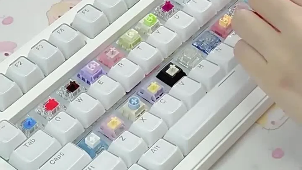 KeebPilot | Xuhua Holy Panda 5-Pin Tactile Switch Sound Test – 55gf Factory-Lubed