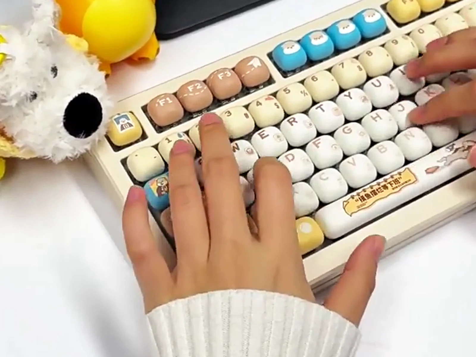 Hands typing on AKKO OtterHustle MOG keycaps