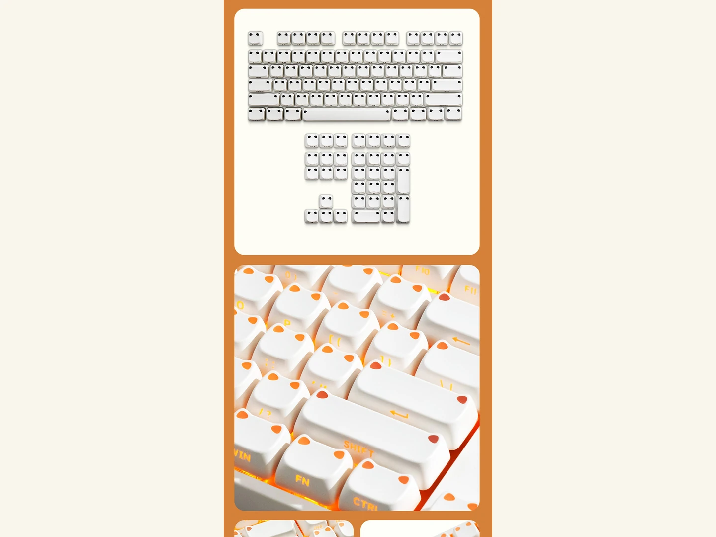 PBT and Transparent PC Split the Work