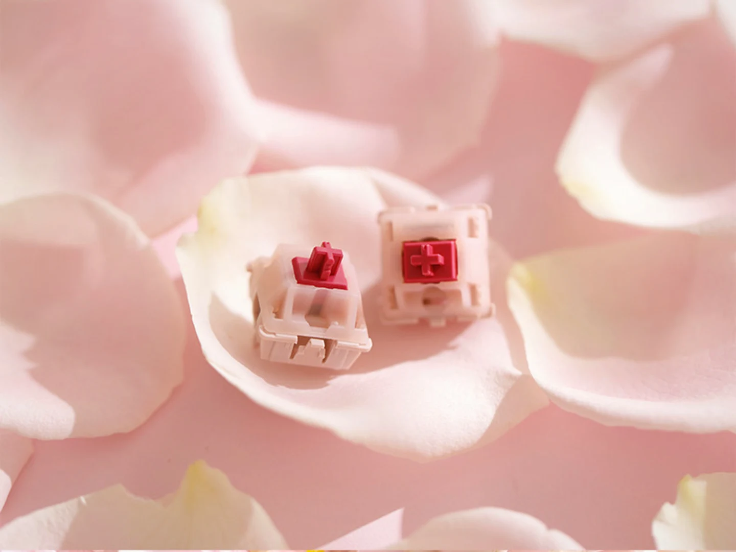 CHERRY MX Petal switches in a soft floral scene for lighter-touch tactile users