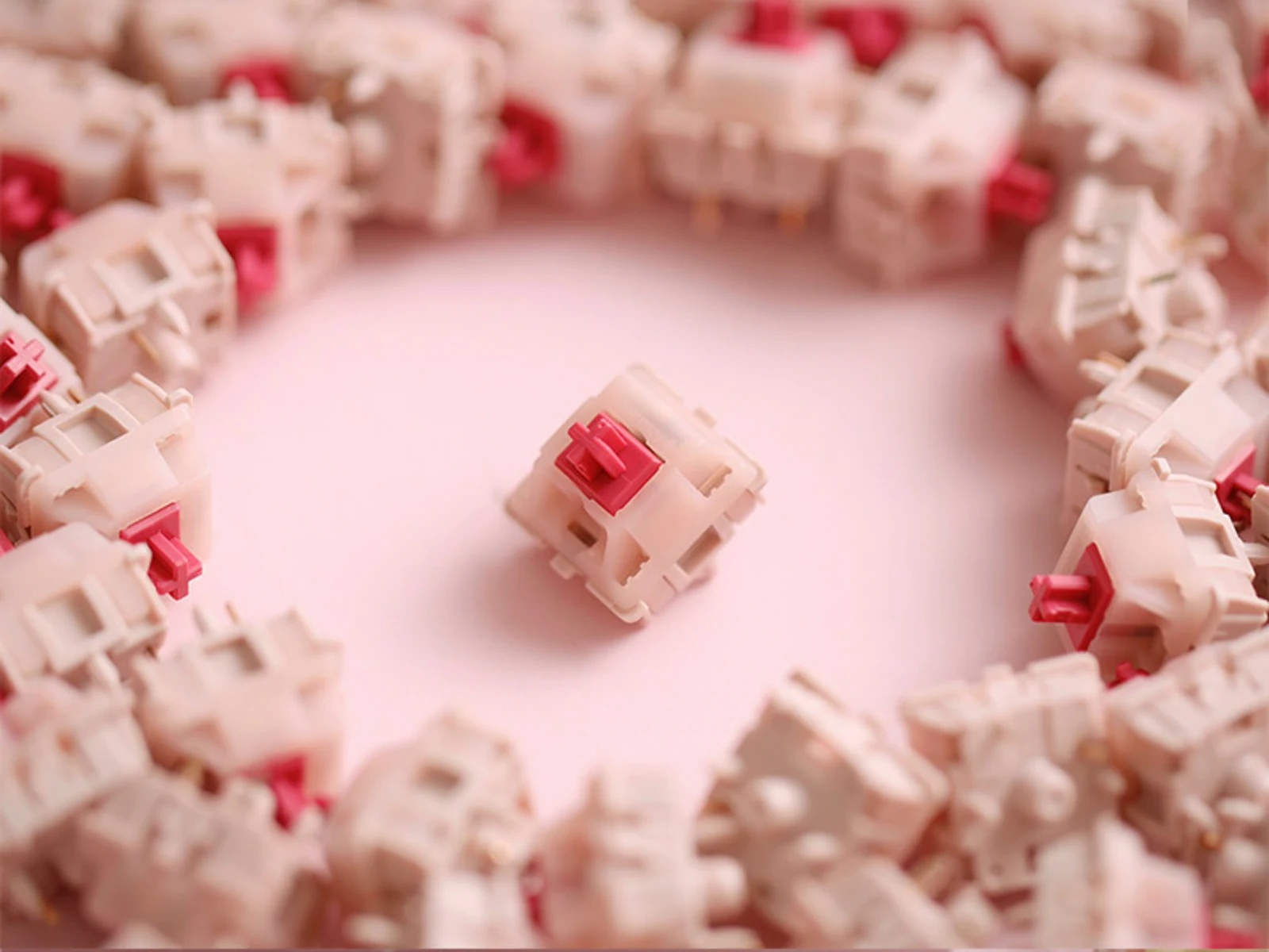 CHERRY MX Petal switch surrounded by matching switches