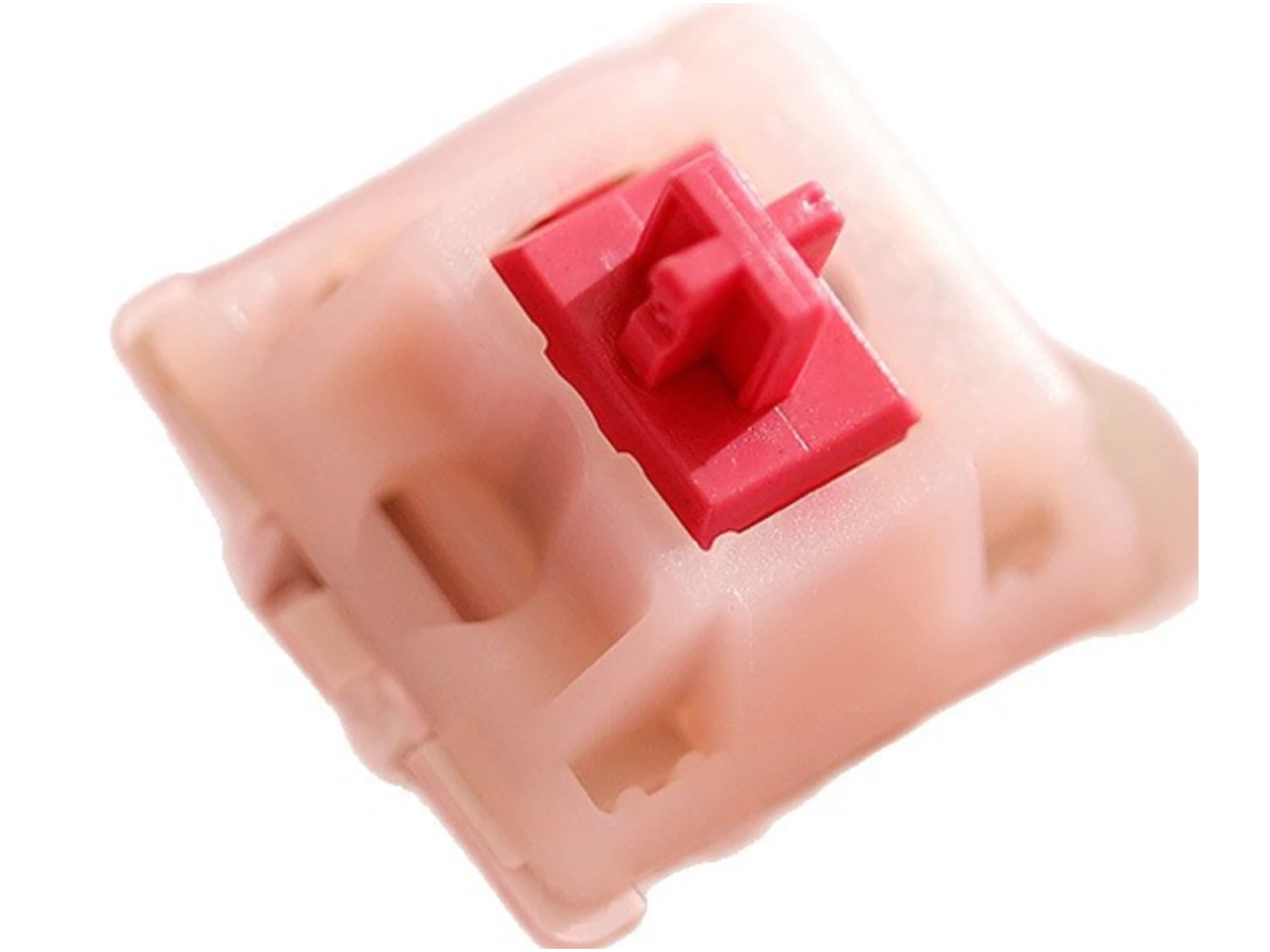 CHERRY MX Petal light tactile switch on a clean background