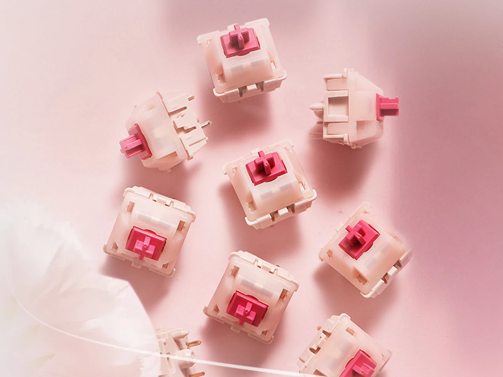 Multiple CHERRY MX Petal switches representing the selected pack quantity